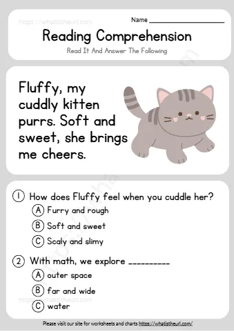 Kindergarten reading comprehension passages – Exercise 13