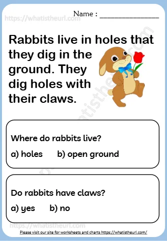 Rabbits Live In Holes That