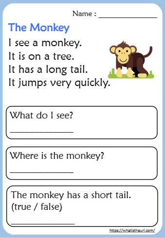 I See A Monkey