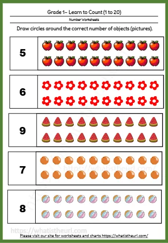 Grade 1 Learn To Count 1 To 20