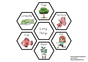 Living and Non-Living things project making idea template