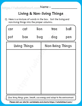 Living And Non Living