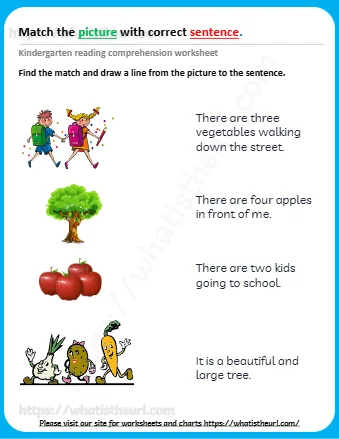 Match The Picturewith Correct Sentence