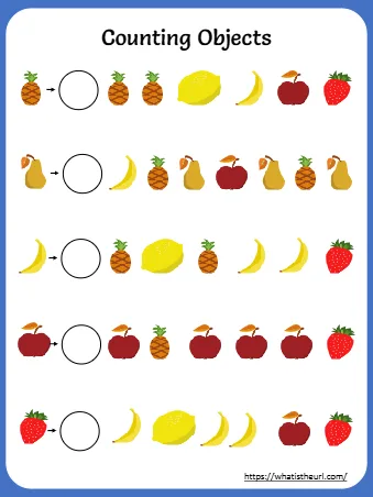 Counting Objects Counting Objects