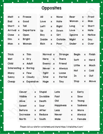 Synonyms & Antonyms Vocabulary Printable Worksheet
