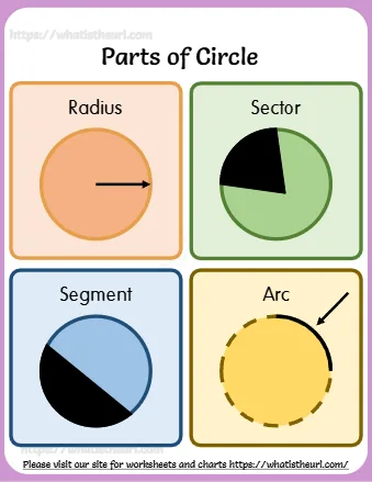 Parts Of Circle Chart