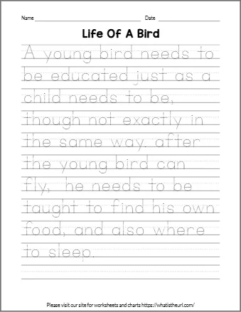 Be Educated Just As A Child Needs To Be