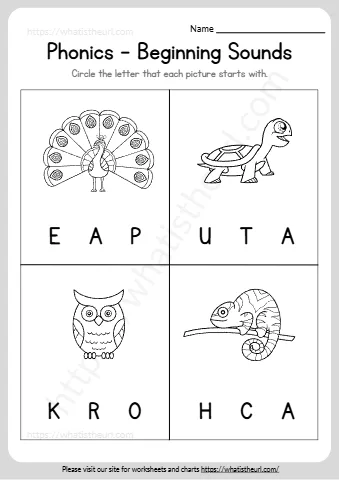 Phonics Beginning Sounds Circle The Letter Worksheet 3
