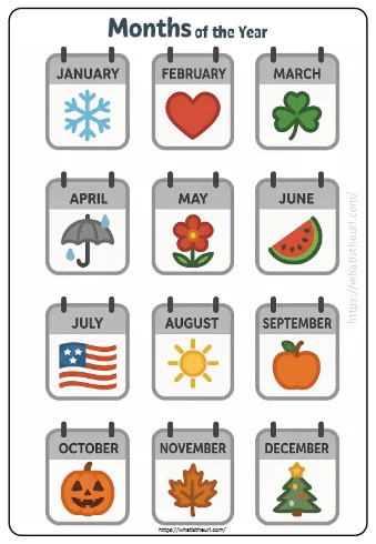 Months Of The Year Set 4