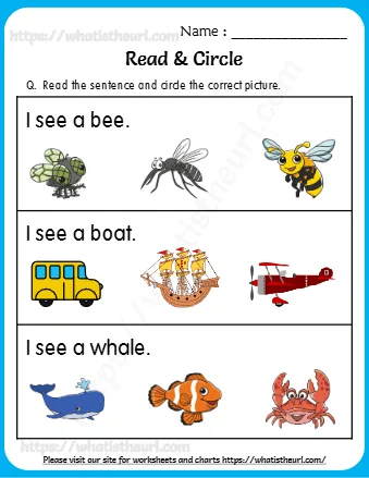 I See A Bee