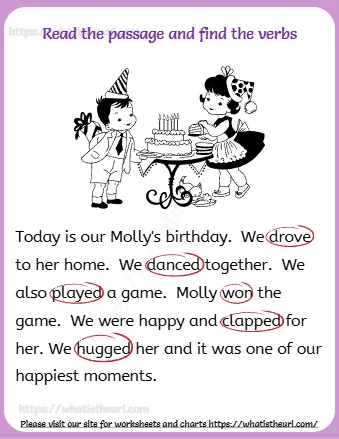 Today Is Our Molly's Birthday We Drove