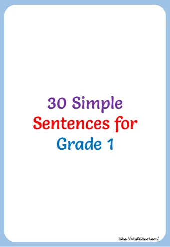 Sentences For Grade 1