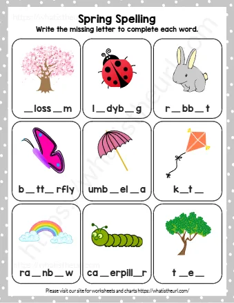 Loss M L Dyb G R Bb T