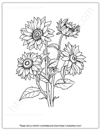 Spring Season Coloring Pages