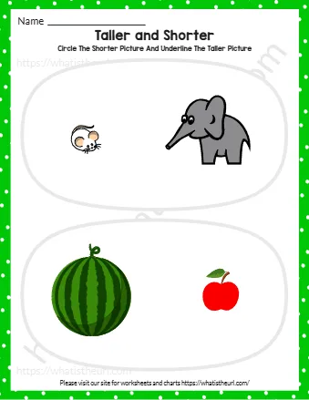 Tall Short Worksheets For Kindergarten