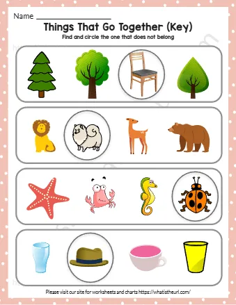 Things that go together - Exercise 2