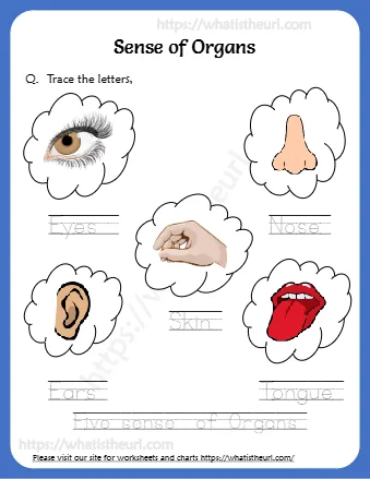 Q Trace The Letters