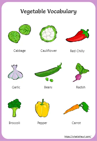 Vegetables Vocabulary charts