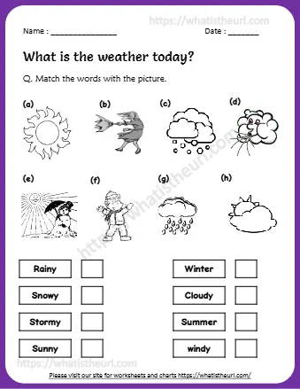 Q Match The Words With The Picture